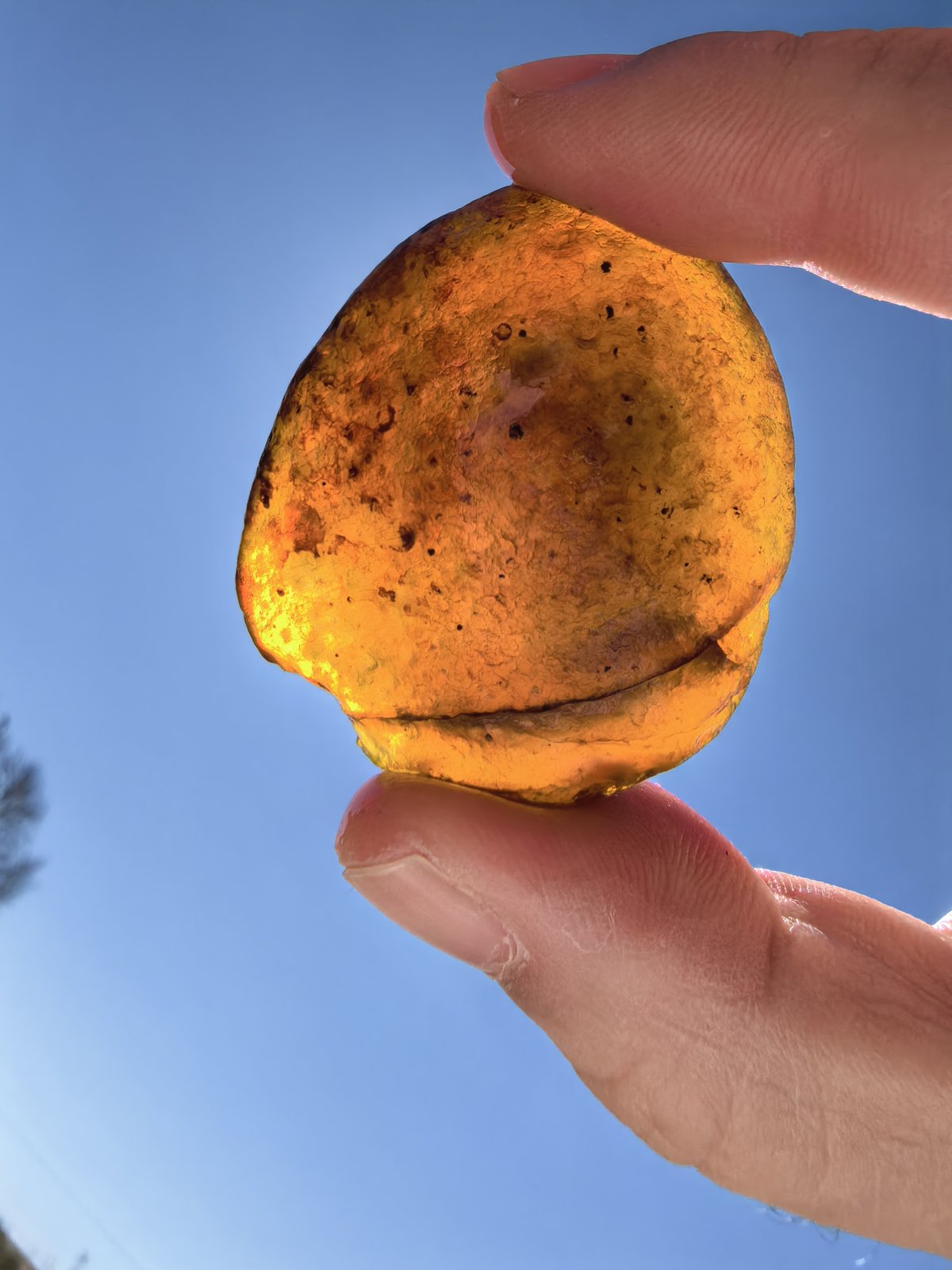 大块金橙透光片